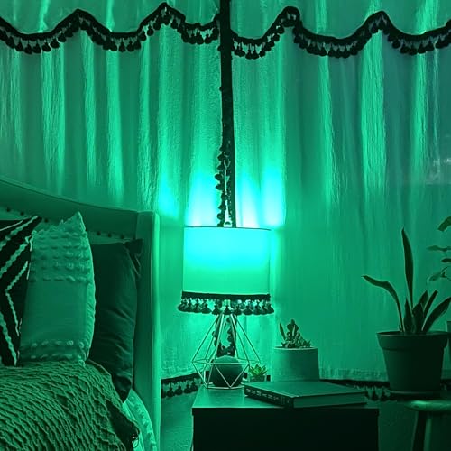 Dimmable Green A19 LED Light Bulb - Clear Glass, 4.5W, 1 Count