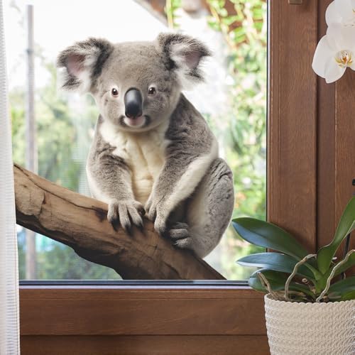 Cute Koala Wall Decal 3D Koala Wall Sticker Removable Peel & Stick Animal Wall Art Decor Stickers for Kids Baby Classroom Living Room Nursery
