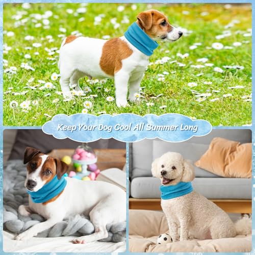 Dog Cooling Bandana Collar - Instant Cooling Scarf for Medium Dogs, Blue