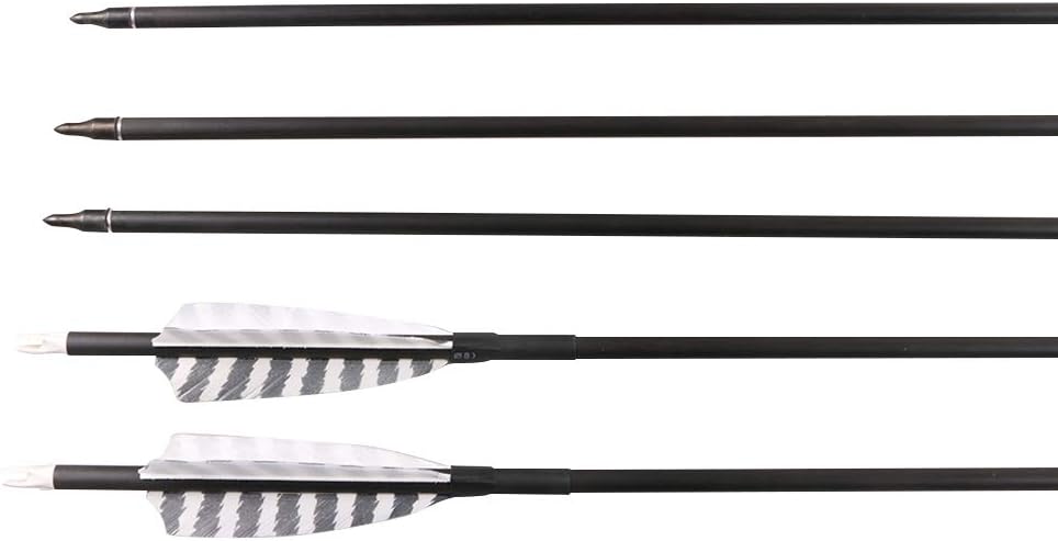 Skiennix 32 Inch Carbon Archery Arrows - Spine 400 with Removable Tips & 4 Inch Turkey Feathers | 6 Pack for Hunting & Target Practice