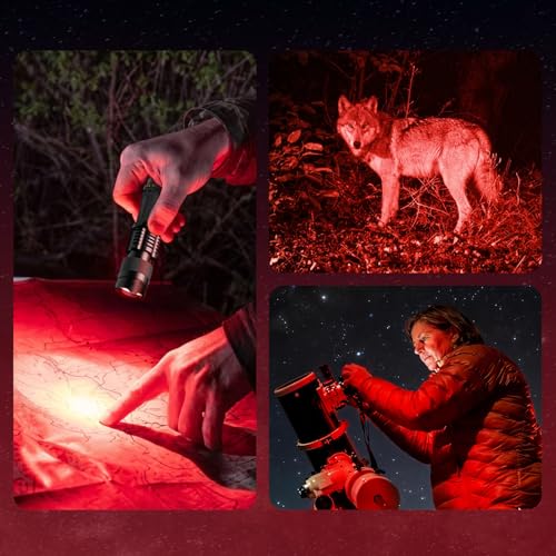 Rechargeable Red Light Flashlight 2 Pack | Single Mode, Black, Outdoor & Reptile Use