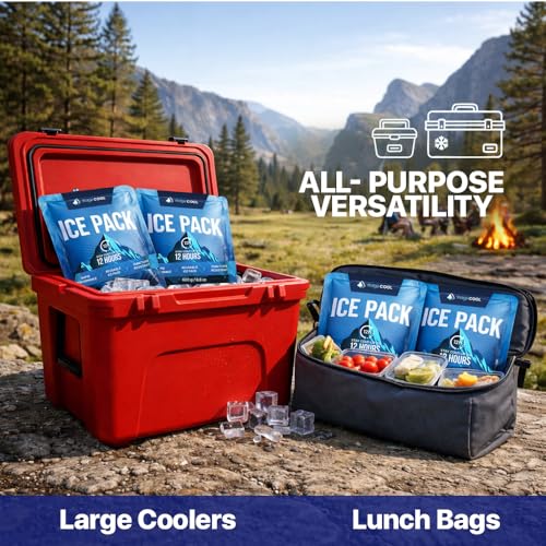 RIDGECOOL 4-Pack Large Reusable Ice Packs, 600g Each | 9.8 x 8.6 in, Leakproof & BPA-Free for Coolers