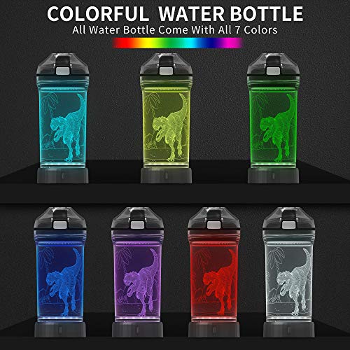 Lightzz Dinosaur Water Bottle with 3D Illusion & LED Light for Boys 5-12