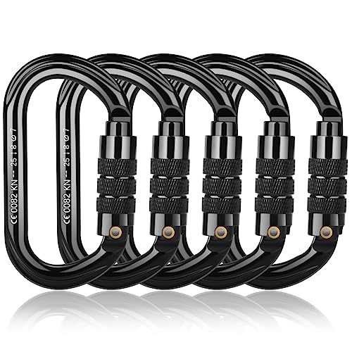 FVW CE Certified Auto Locking Carabiner 25kN 5620lbs Large D-Shaped Black