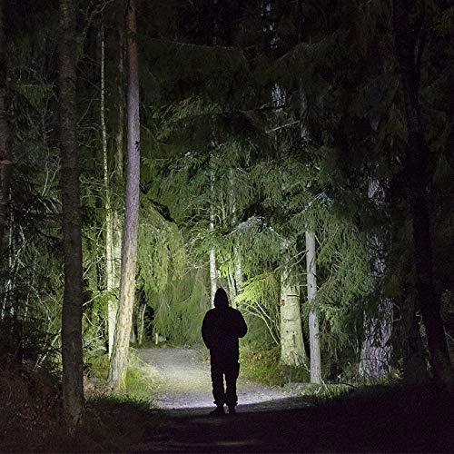 Feit Electric 1700 Lumen LED Tactical Flashlight - 9.76 in, Aluminum, Zoomable Bezel, 4-C Battery Required