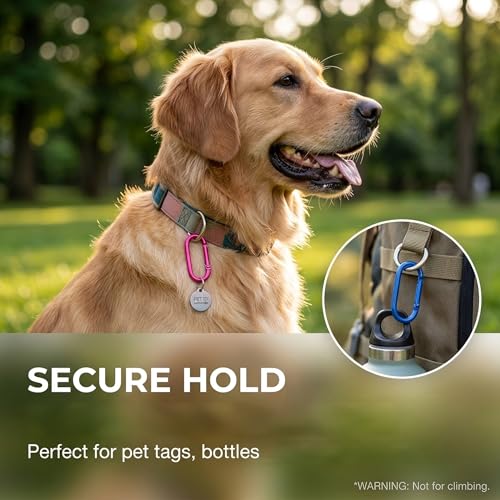 WTYONZEL Colorful 32Pcs Oval Carabiner Clips Keychain Spring Attachments