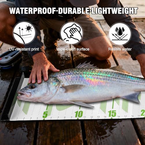 Booms Fishing 59” Green Ruler with Bump Board - Measuring Tape for Large Fish