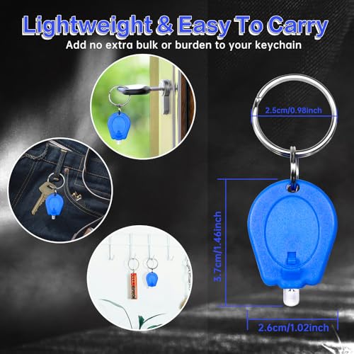 10 Pack Mini LED Keychain Flashlight - Multicolor Portable Light