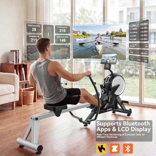 Dual Scull Rowing Machine - Wind & Magnetic Resistance, 14 Levels, Grayish-White