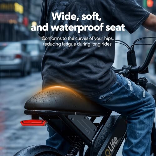 Electric Bike for Kids & Teens - Qlife Spark D1 1500W, 16" Fat Tire - Black