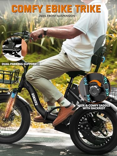 Electric Trike Bike with 1200W Motor & 624Wh Battery - Black