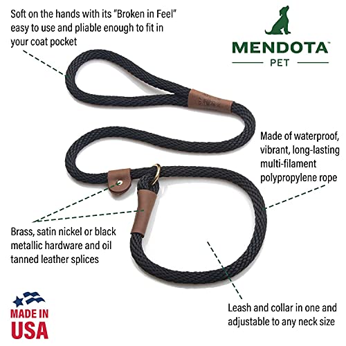 Dog Slip Leash and Collar Combo - 3/8 in x 6 ft - Black Ice Raspberry