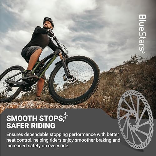BlueStars 203mm Stainless Steel Disc Brake Rotor 6-Bolt for Bicycle - 1 Pack