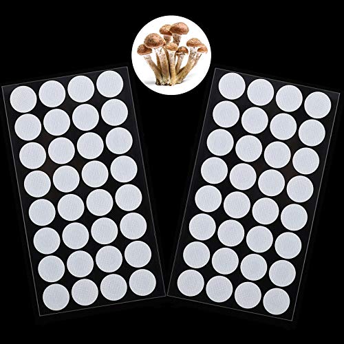 Synthetic Filter Paper Discs - 64 Pieces, 20mm Diameter