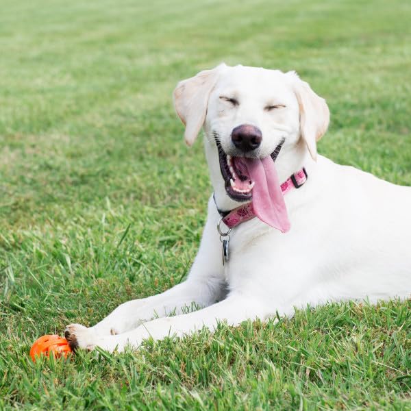 Chuckit! Air Fetch Extra Large Dog Ball - Orange 3.5 Inch for 100+ lbs dogs