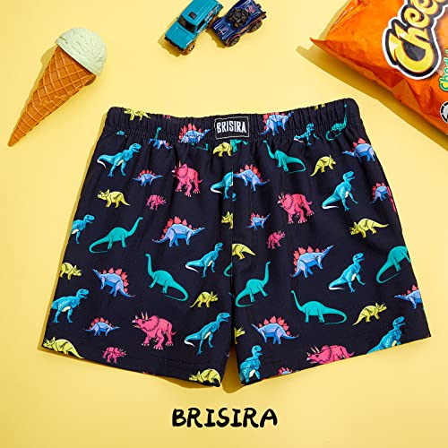 Boys Swim Trunks - Black Dinosaur Compression Boxer Briefs, Anti-Chafe