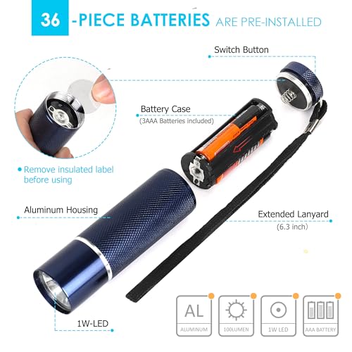 FASTPRO 12-Pack Flashlights Set, Aluminum LED Flashlights with AAA Batteries Included & Pre-Installed, Super Bright 100 Lumen Flashlight for Party Favors, Holiday Gifts, Camping, Hurricane Supplies