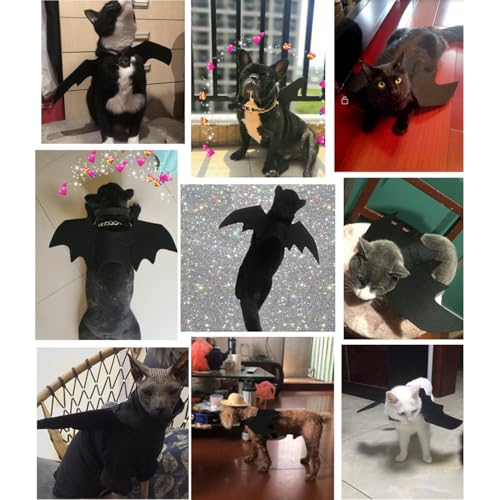Pet Bat Wings Costume for Cats and Dogs - Small Black