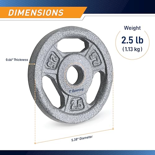 2.5 lb Cast Iron Standard Grip Plates for Strength Training