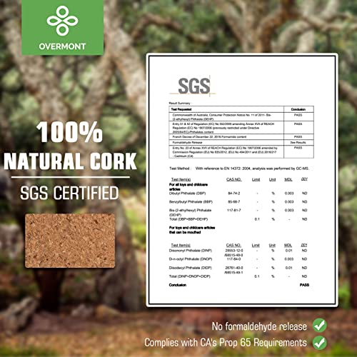 Cork Yoga Blocks Set with 8ft Strap - Eco-Friendly Support