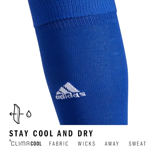 Over-the-Calf Soccer Socks - 2 Pairs, Team Royal Blue/White, X-Small
