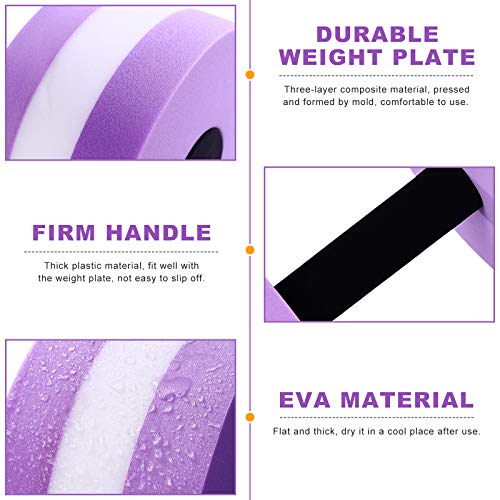 SEWACC Aquatic Dumbbells – Foam Water Weights for Pool Exercise (2 Pcs, Purple)