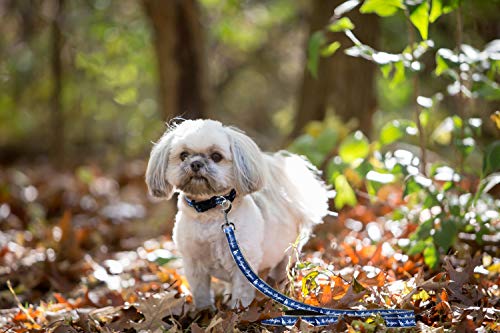 Large MLB Licensed Dog Leash - Los Angeles Dodgers