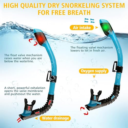 Snorkeling Set for Kids & Adults - Full Dry Mask Gear - Blue+Black