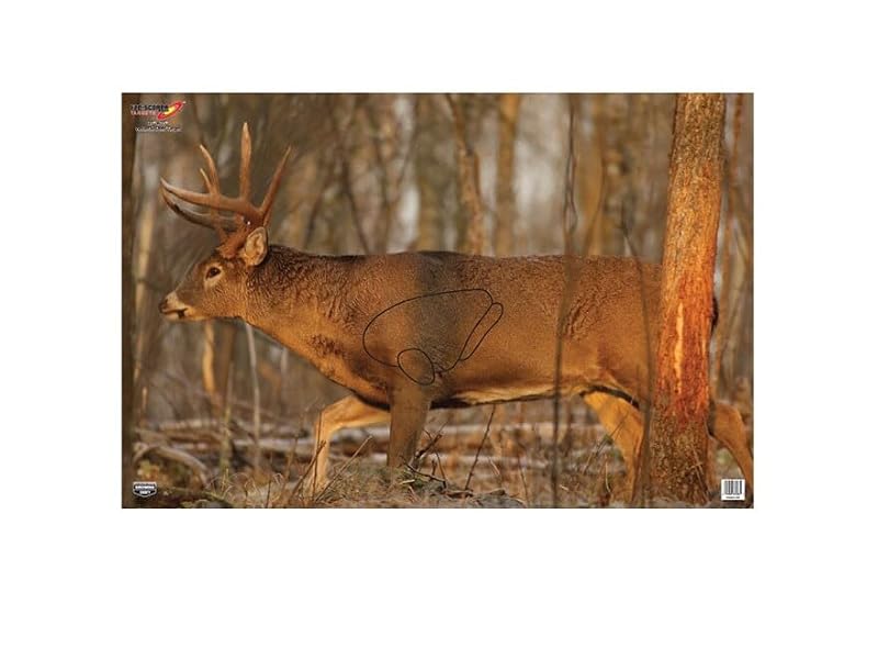 Large Paper Shooting Targets - 23" x 35" Whitetail Deer - 2 Count