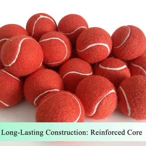 Tennis Balls - 4 Pack Long Lasting Practice Balls for Beginners & Dogs - Red