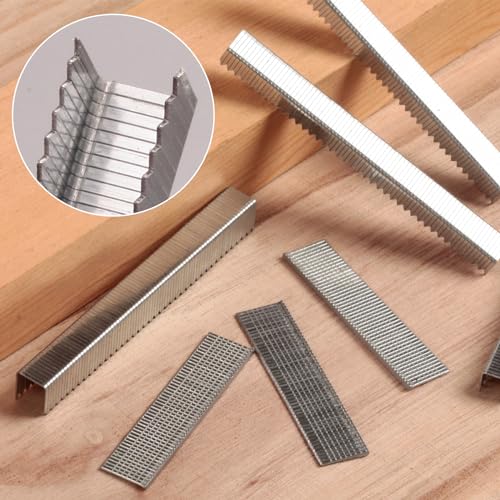 Heavy Duty T50 Staples 1450-Count 5 Sizes Includes: 5/16",3/8",1/2",9/16" Staples+5/8" Brad Nails, 20 Gauge Galvanized Assorted Size Project Pack