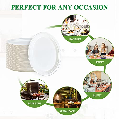 Vplus 12-Inch Compostable Oval Paper Plates 125 Pack White - Eco-Friendly Disposable Dinnerware