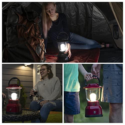 Enbrighten LED Large Camping Lantern, Battery Powered, USB Charging, 800 Lumens, 200 Hour Runtime, Carabiner Handle, Hiking Gear, Emergency Light, Blackout, Storm, Hurricane