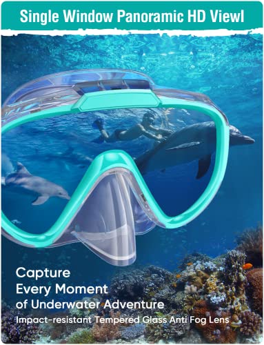 Snorkeling Gear Set for Adults - Anti-Fog Mask & Dry Top Snorkel - Z-Black/Green Transparent