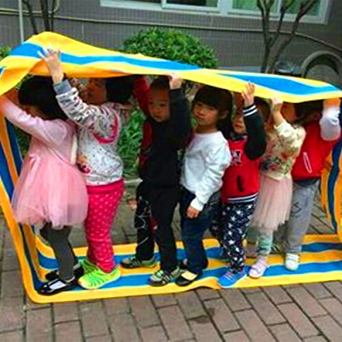 KINDEN Teamwork Run Mat for Field Day – 6m 0.45m Group Activity (Color002-20ft)