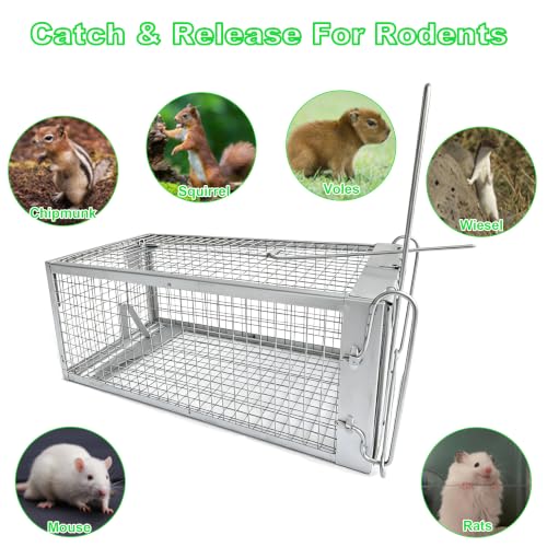 SARSTRY Humane Rat Traps 2-Pack Silver, Live Cage Catch & Release, Indoor Outdoor