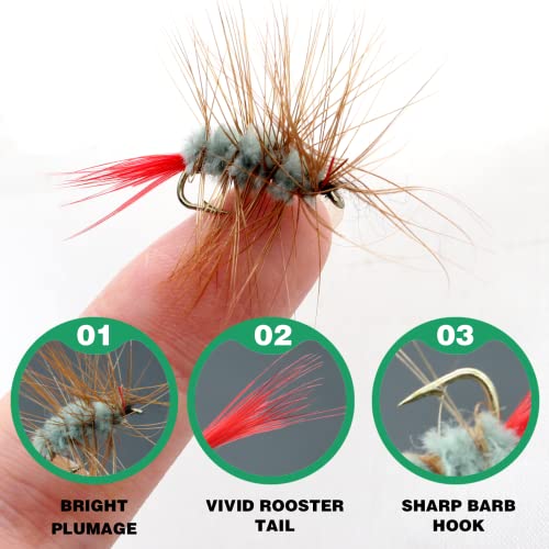 20pcs Fly Fishing Poppers - Topwater Lures for Bass, Trout & More