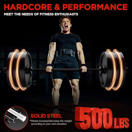 TEEMOO 57-Inch Home Gym Barbell Bar with Spring Collars, 500lb Capacity, Black