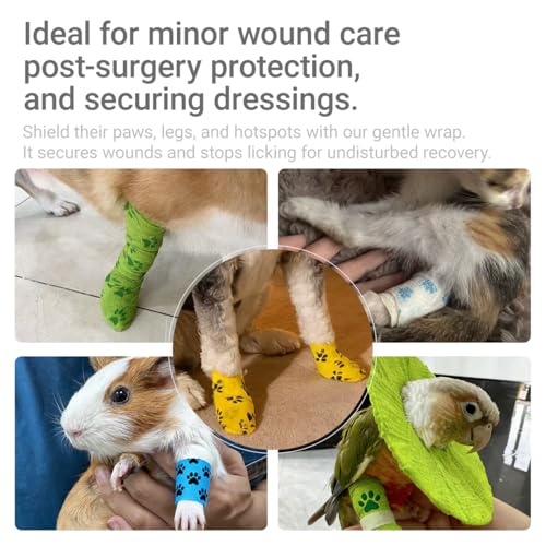 Self-Adhering Bandage Wrap for Dogs - 6 Rolls, 6 Colors