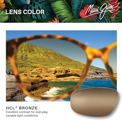 Polarized Teardrop Sunglasses for Men & Women - Gold/HCL Bronze