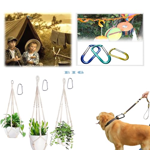12-Piece Aluminum D-Ring Carabiner Clips - Lightweight & Durable