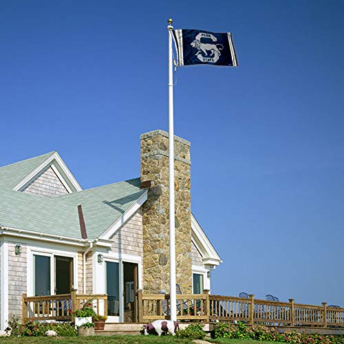 Penn State Nittany Lions College Banner Flag 3x5 Retro Throwback College Flag