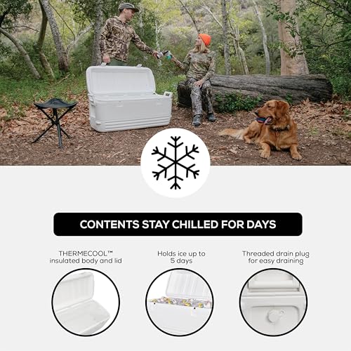 Insulated Hard Cooler - Polar & Party Bar Series Ice Chest