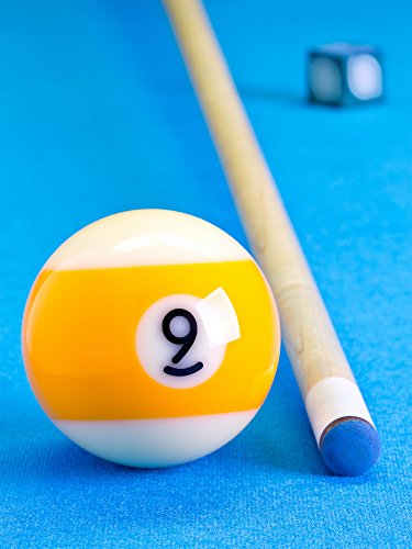 30 Pcs 13mm Blue Billiard Pool Cue Tips with Storage Box