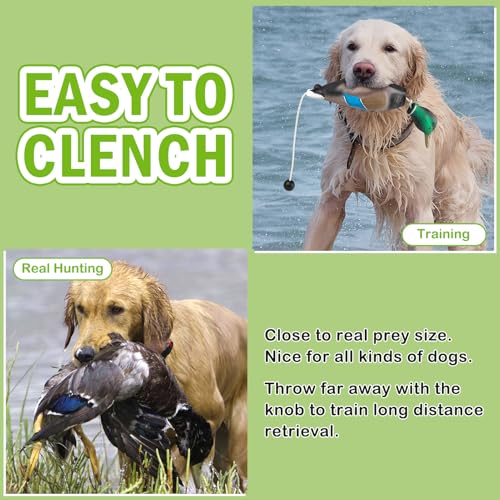 Archerest Dead Duck Dummy Bumper for Waterfowl Hunting Dog Training - Variation: Duck