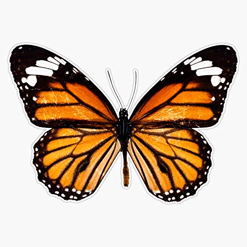 Waterproof Monarch Butterfly Vinyl Sticker - 5 Inch Bumper Decal