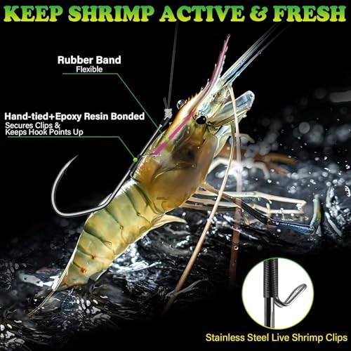 LUCKYFISHING 20pcs Live Shrimp Hooks Saltwater & Freshwater V-Shape Fishing Hooks 2/0