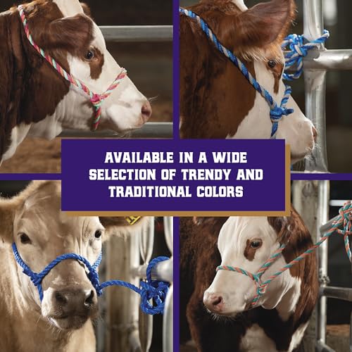 Braided Poly Rope Cattle Halter - Adjustable Blue, One Size