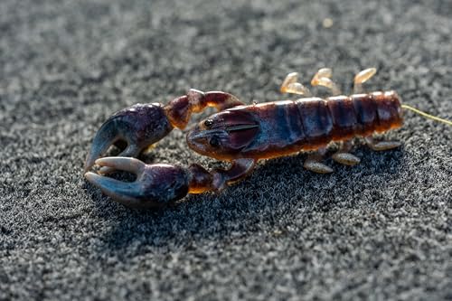 Soft Plastic Craw Fishing Bait - HD Rusty Craw, 3.5in