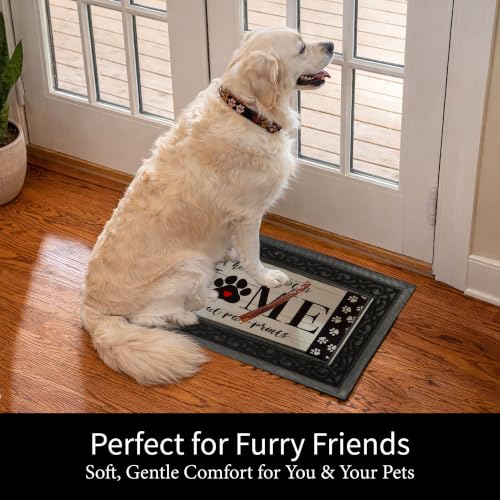 Evergreen Garden Paw Print Home Sassafras Doormat Insert - 22 x 10 inches